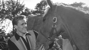 I've Gotta Horse — foto 1