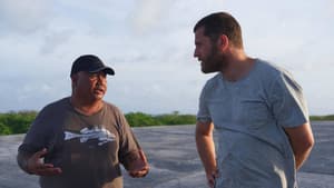 Episodio 7