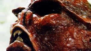 Kill Them and Eat Them — foto 2