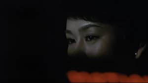 女猫 — foto 4
