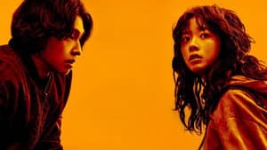 콘크리트마켓 — foto 3