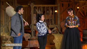 Episodio 8