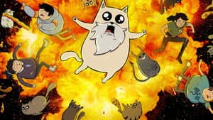 Gatitos explosivos — foto 11