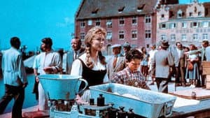 Die Fischerin vom Bodensee — foto 2