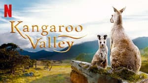 En el valle de los Canguros — foto 2