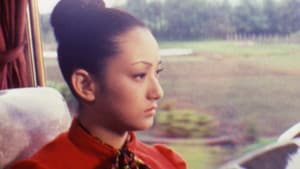 夜汽車の女 — foto 1