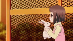 Episodio 13