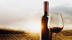 The Mostly Serious History of Wine — foto 1