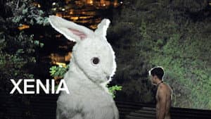Xenia — foto 10