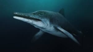 Attenborough and the Sea Dragon — foto 6