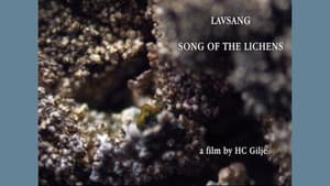 Lavsang - Song of the Lichens — foto 1