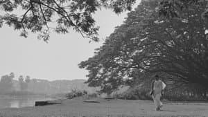 মেঘে ঢাকা তারা — foto 12
