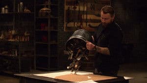 Episodio 14