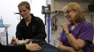 Fern Britton: Inside The Vet's — foto 1
