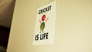 Chirp — foto 3
