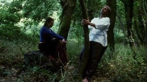 Quei loro incontri — foto 2