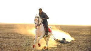 தீரன் அதிகாரம் ஒன்று — foto 4