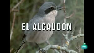 Episodio 24