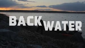 Back Water — foto 1