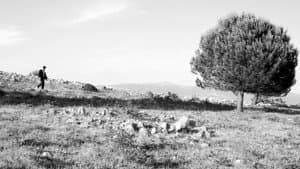 Essere Idea — foto 1