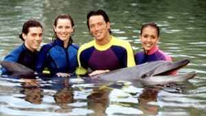 Flipper — foto 7