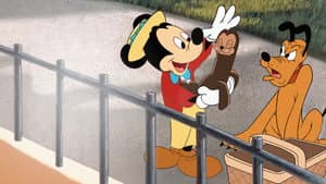 Mickey and the Seal — foto 3