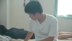 晚歸 — foto 2