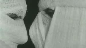 Pig — foto 4