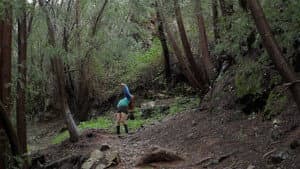 Estrada para o Céu — foto 2