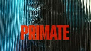Primate — foto 6