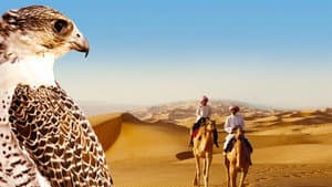 Wild Arabia — foto 1