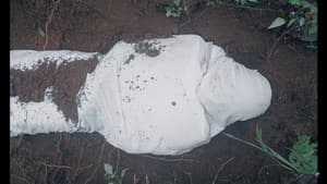 ഭൂമി — foto 1