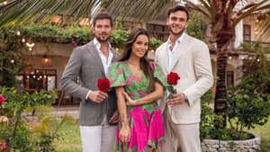 De Bachelor — foto 1