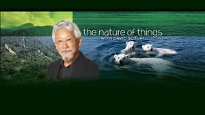 The Nature of Things — foto 7