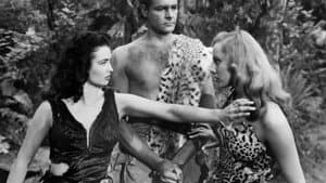 Prehistoric Women — foto 1
