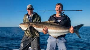 Fish of the Day — foto 1