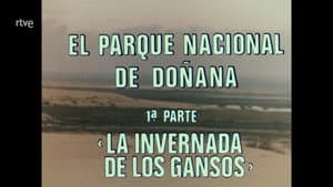 Episodio 63