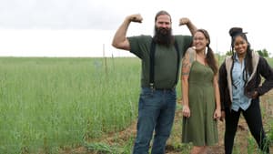 Farm Dreams — foto 8