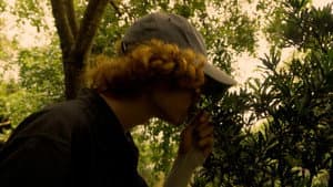 REELs — foto 4