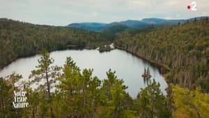 Notre vraie nature — foto 1