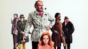 Colpo grosso… grossissimo… anzi probabile — foto 1