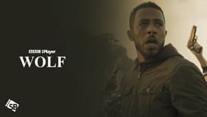 Wolf — foto 5