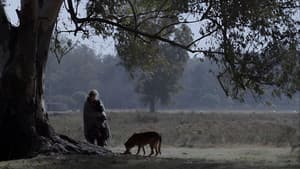 La mujer de los perros — foto 8