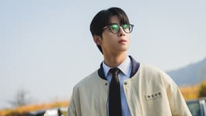 원더풀스 — foto 4
