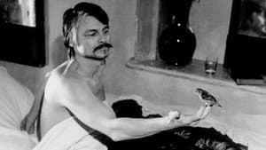 Andrey Tarkovsky. Una plegaria cinematográfica — foto 2