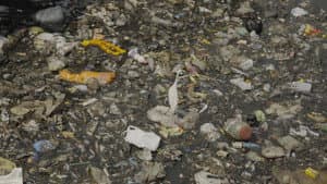 Garbage Ho! — foto 2