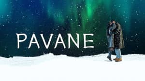 Pavana — foto 9