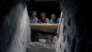 Ladrones de tumbas — foto 6