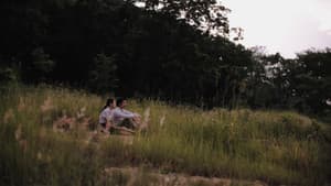 ดาวคะนอง — foto 8