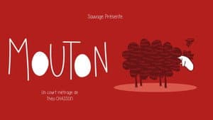 Mouton — foto 1